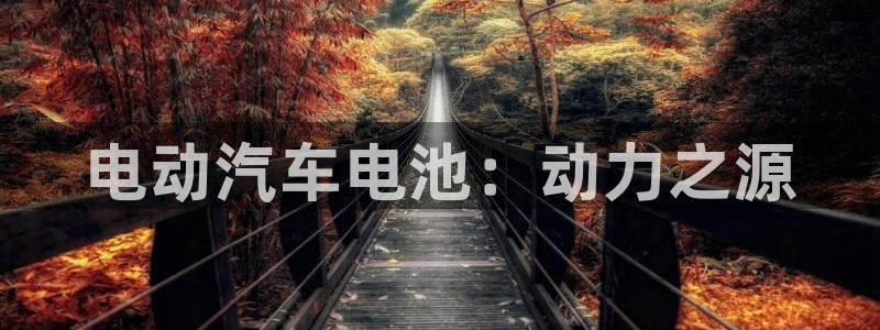 优发国际这个平台怎么样知乎