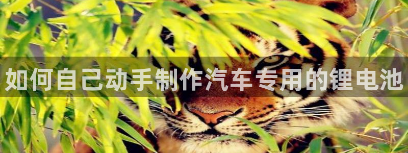 优发国际客服联系方式查询