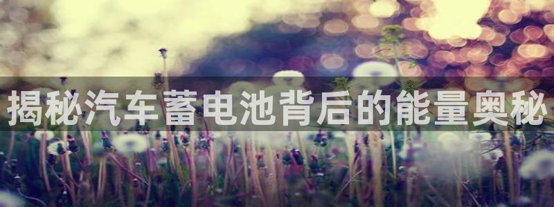 优发国际网官