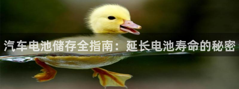 优发国际手机版下载官网