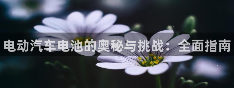 优发国际首页