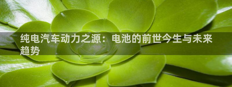 优发国际是合法的吗