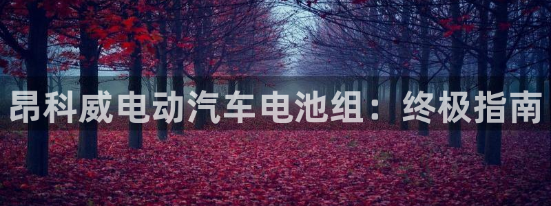 优发国际这个平台怎么样
