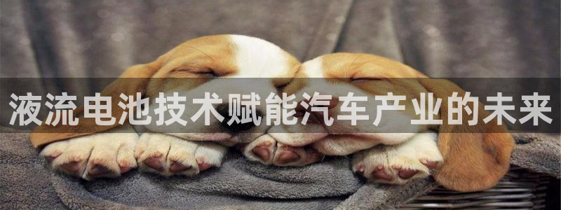 优发国际官网是多少