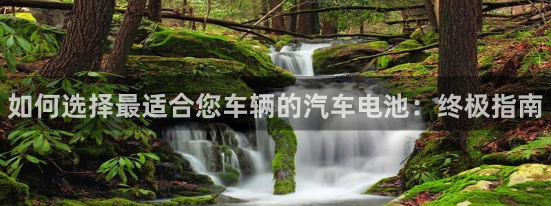 优发国际网站多少