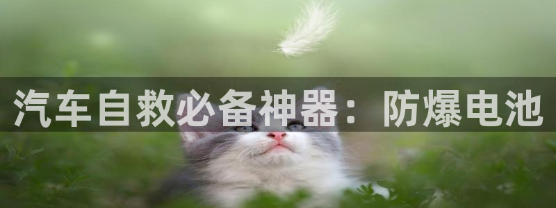 优发国际官方网手机版