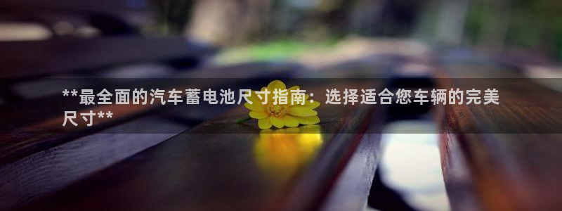 优发国际是什么
