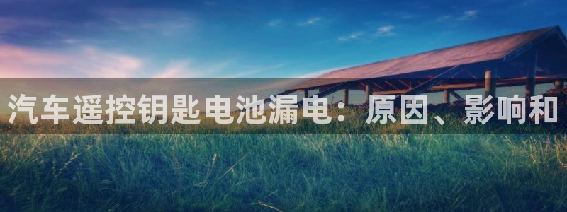 优发国际平台手机版下载安装