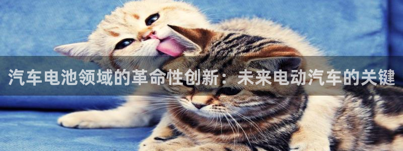 优发国际网官