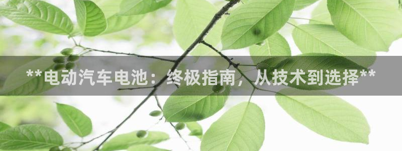 优发国际手机版官网下载
