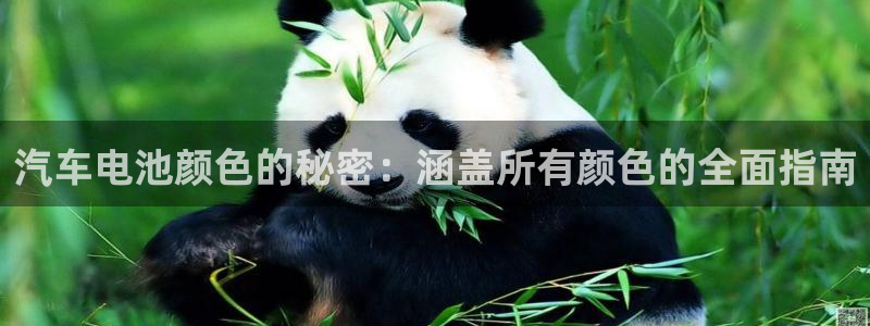 优发国际手机客户端下载