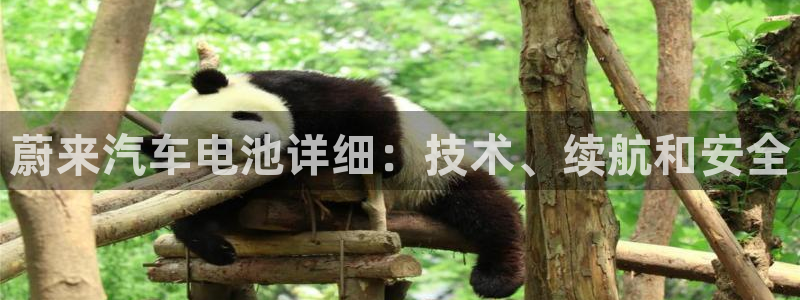 优发国际官方下载app