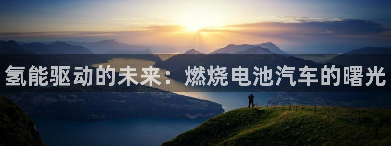 优发国际游戏n