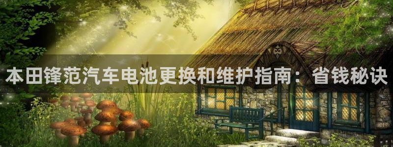 优发国际多少钱
