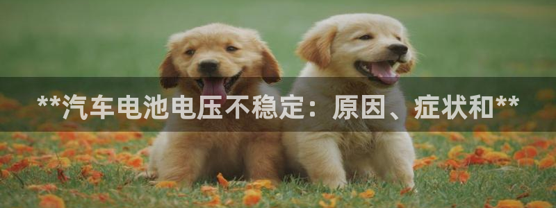 优发国际游戏17