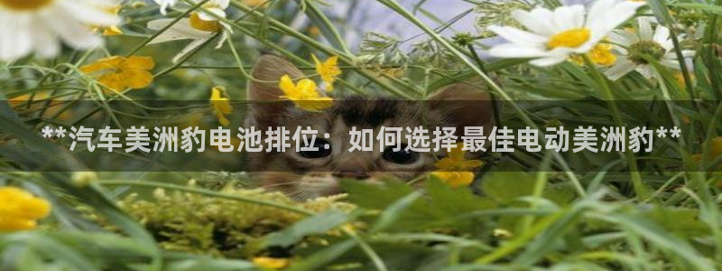 优发国际下载安装