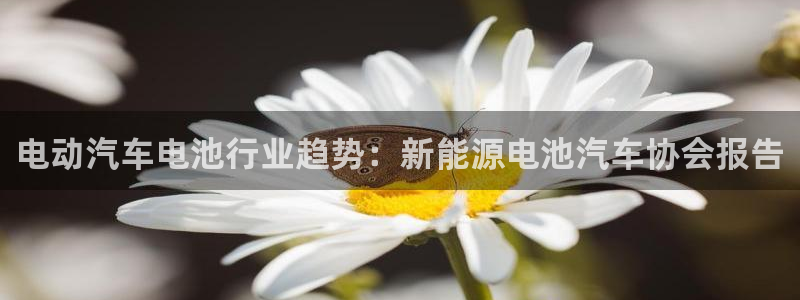 优发国际平台u8是什么