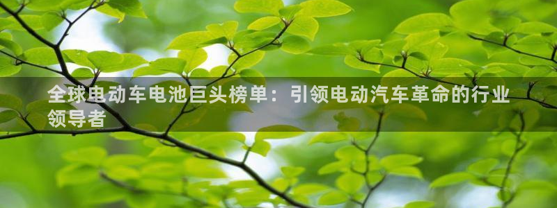 优发国际手机版客户端下载
