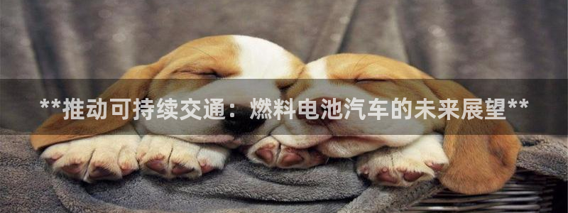 优发国际安卓版下载安装教程
