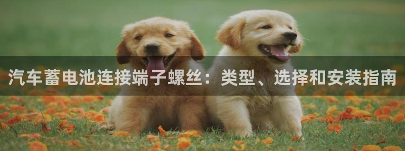 优发国际是大平台吗是真的吗