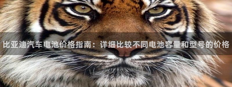 优发国际网官网17q8