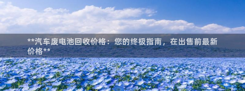优发国际是大平台吗还是小平