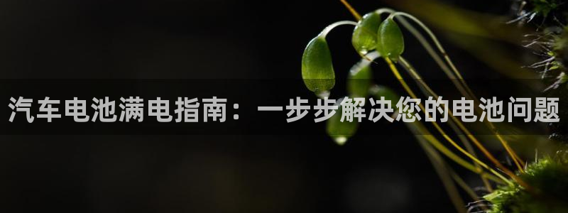 优发国际集团股份有限公司官网