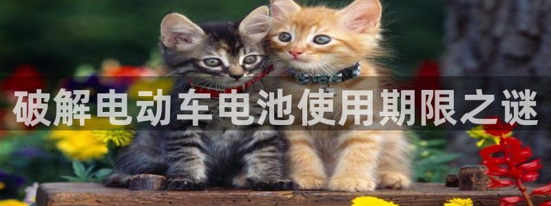 优发国际电话
