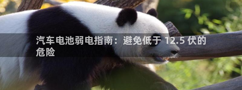 优发国际手机app下载安装