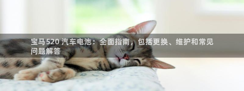 优发国际随优而动一触即发