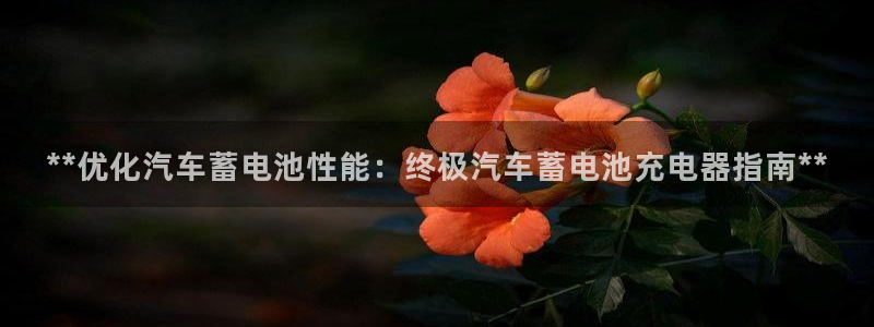 优发国际官网是多少