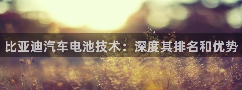 优发国际手机客户端怎么下载