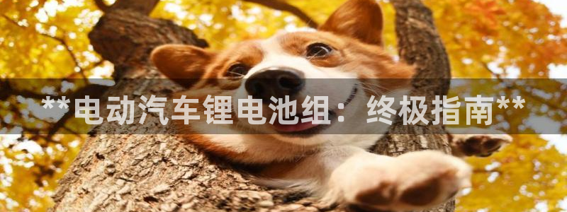 优发国际在哪里下载