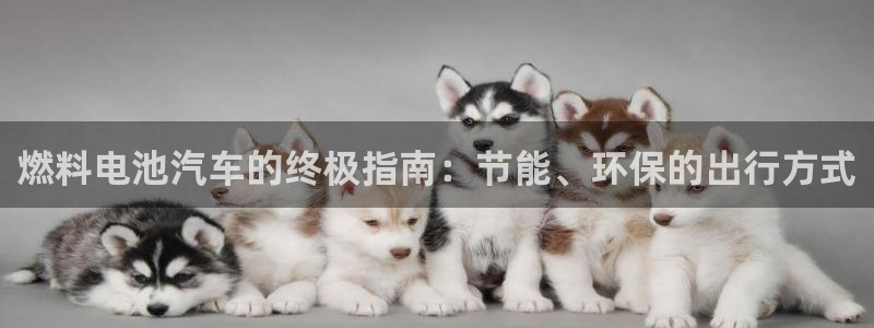 优发国际官网手机版下载苹果