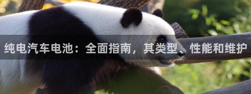 优发国际平台手机版下载安装