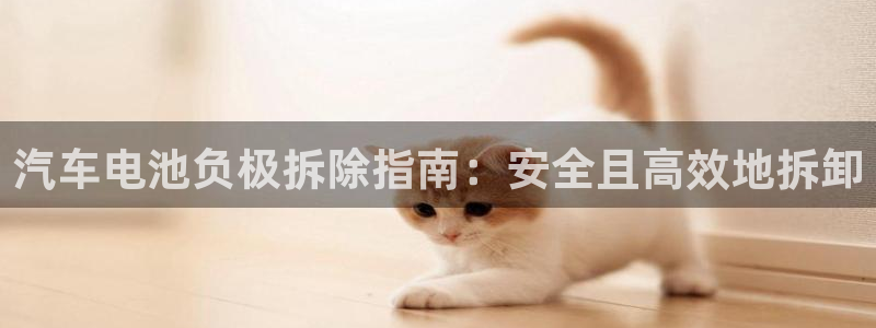优发国际平台u8怎么样可靠吗