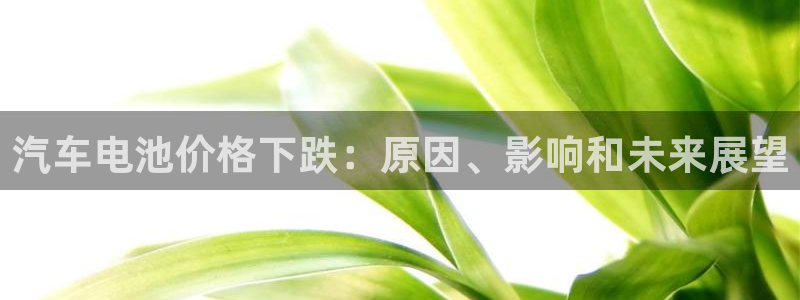 优发国际这个平台怎么样