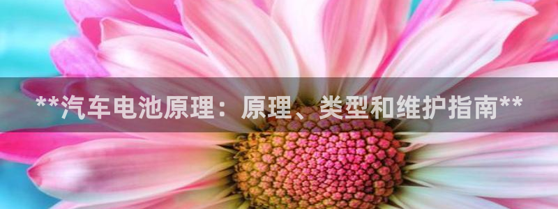 优发国际合并到哪里了啊