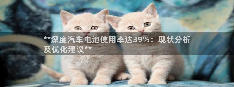 优发国际平台app下载安装