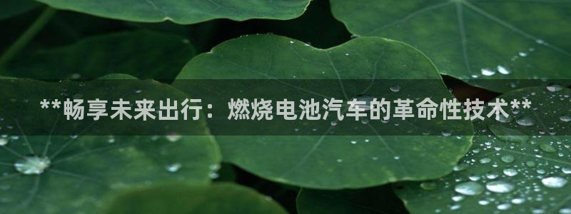 优发国际安卓版下载安装苹果