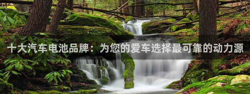 优发国际集团股份有限公司是国企吗