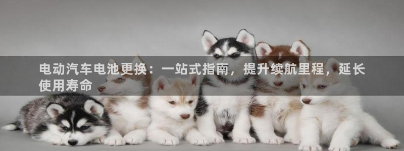 优发国际手机客户端下载