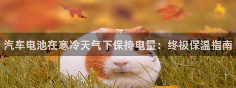 优发国际手机版
