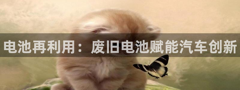 优发国际集团股份有限公司