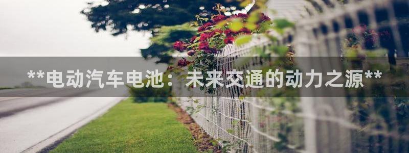 优发国际平台app下载安装