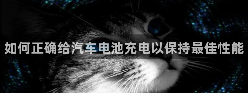 优发国际官网网站