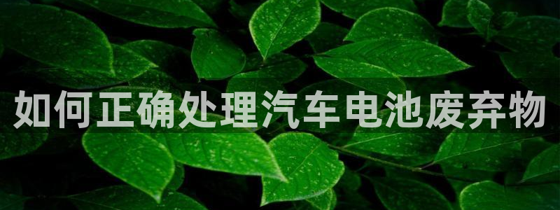 优发国际官网手机版