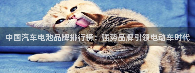 优发国际这个平台怎么样