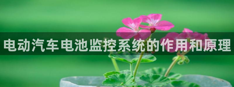 优发国际这个平台怎么样可靠吗