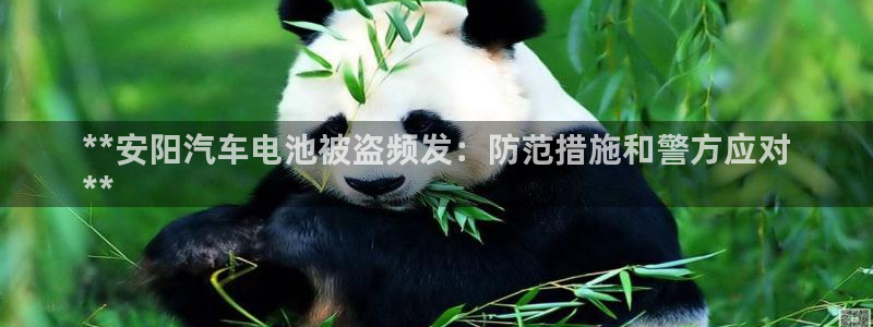 优发国际手机版下载官网